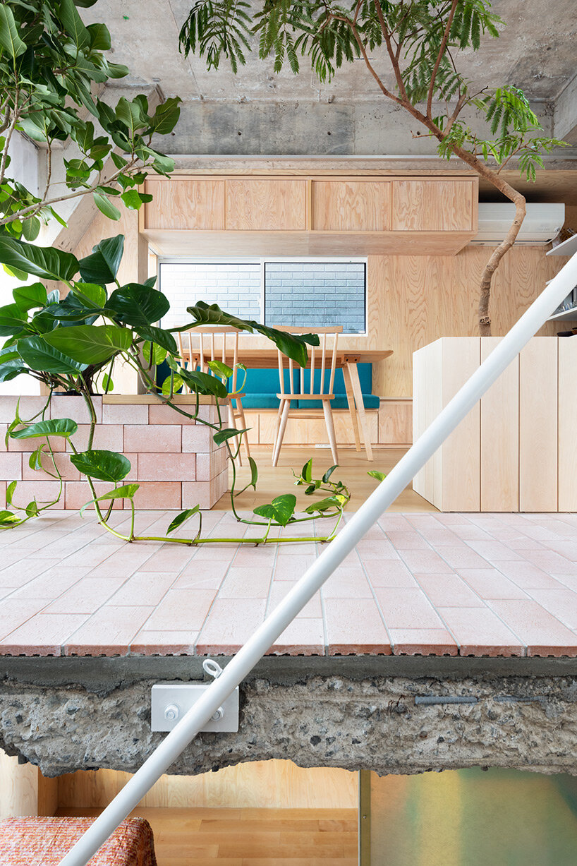 planted staircase penetrates exposed concrete construction in tokyo by mamm design