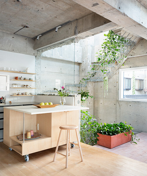 planted staircase penetrates exposed concrete construction in tokyo by mamm design