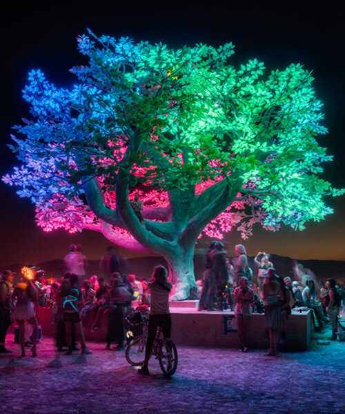 DRIFT's interactive tree of ténéré to find new roots in texas this fall