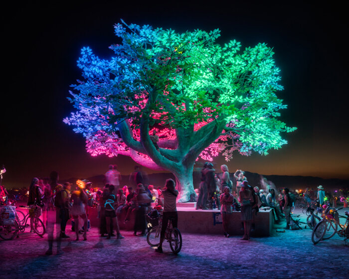 DRIFT's interactive tree of ténéré to find new roots in texas this fall