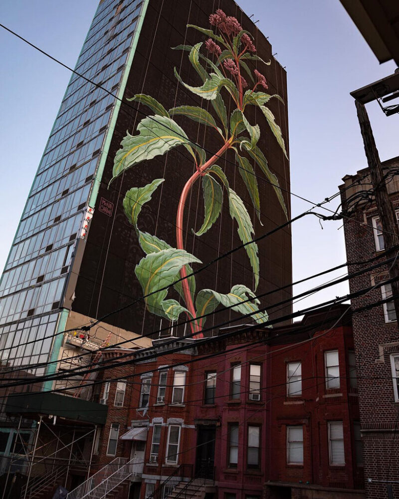 giant wildflower blossoms across a 20-storey façade in jersey city, US