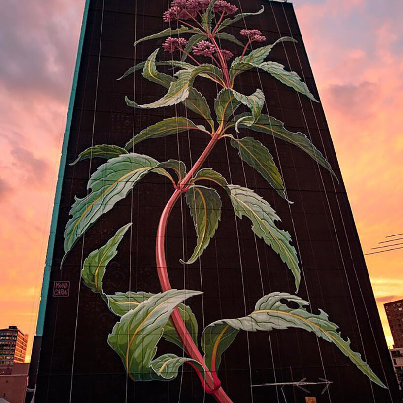 giant wildflower blossoms across a 20-storey façade in jersey city, US