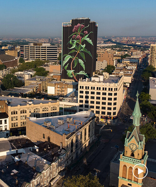 giant wildflower blossoms across a 20-storey façade in jersey city, US