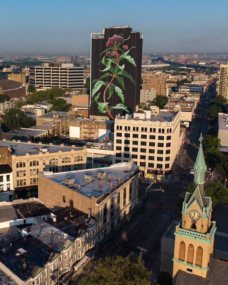 giant wildflower blossoms across a 20-storey façade in jersey city, US