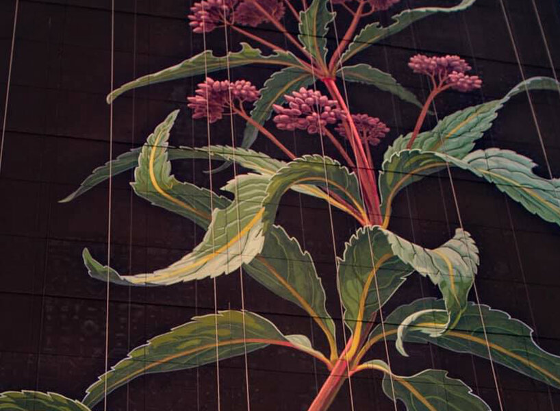 giant wildflower blossoms across a 20-storey façade in jersey city, US