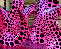 yayoi kusama's retrospective spreads polka dots at gropius bau in berlin
