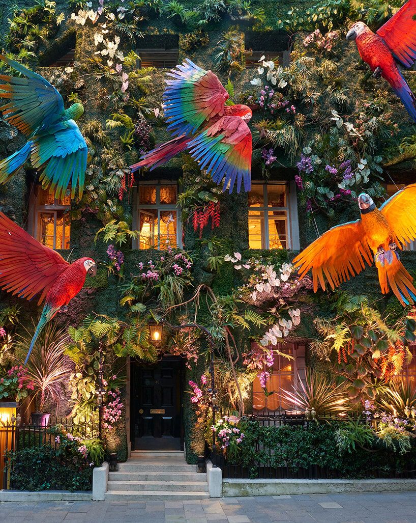 annabel's rainforest façade takes over mayfair in london