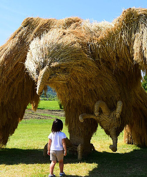 huge rice straw creatures take over the wara art festival in japan