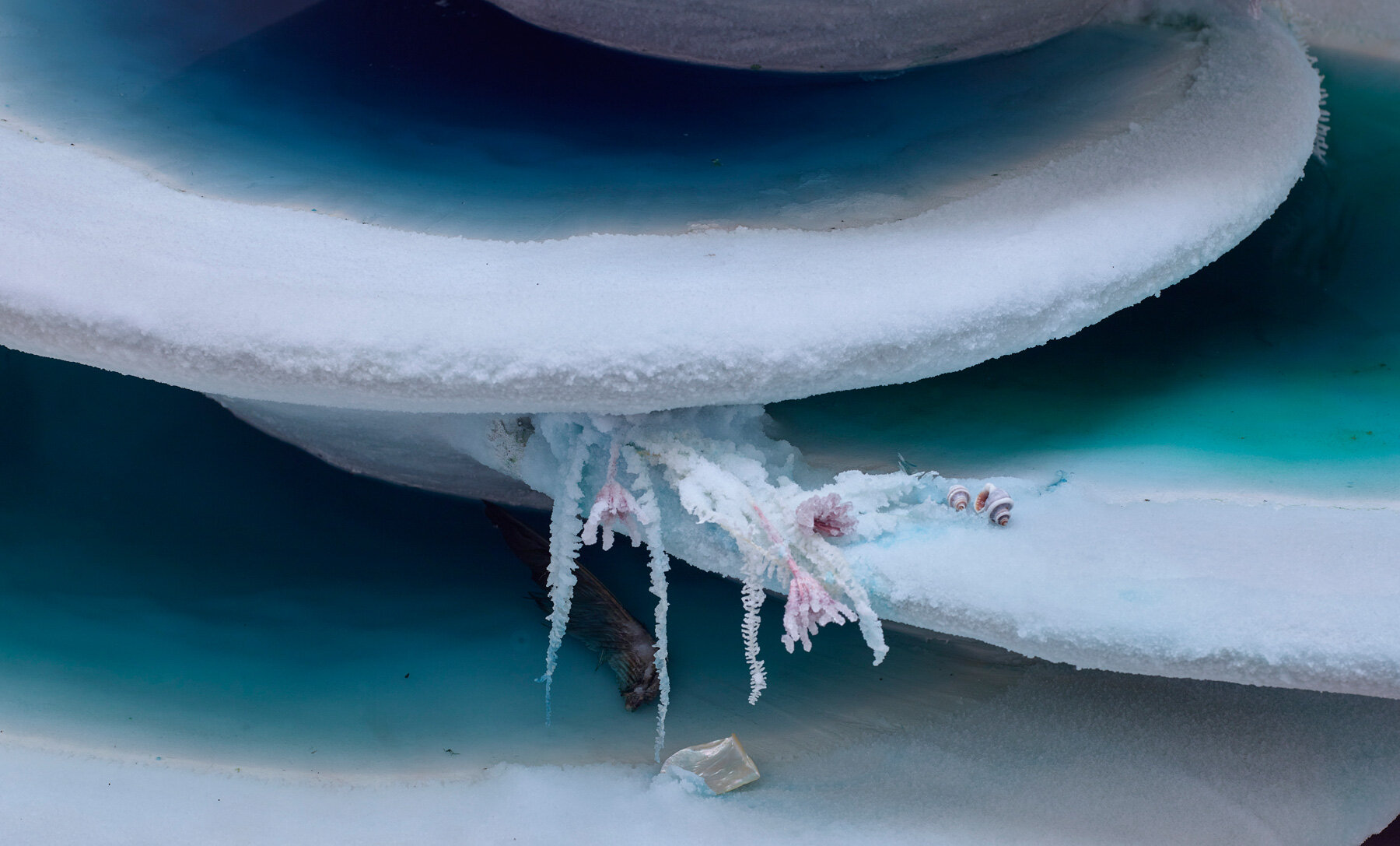 salt flats and cenotes inform bianca bondi's spiritual landscape at  fondation louis vuitton