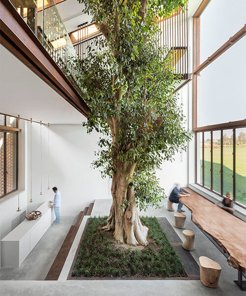 traditional farmhouse by carlo ratti in italy revolves around a ten-meter-tall ficus tree