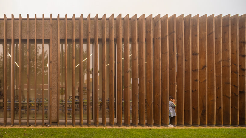 contaminar arquitetos wraps its 'casa da árvore' school in timber slats and cork panels