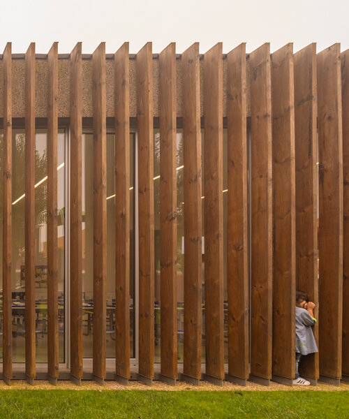 contaminar arquitetos wraps its 'casa da árvore' school in timber slats and cork panels