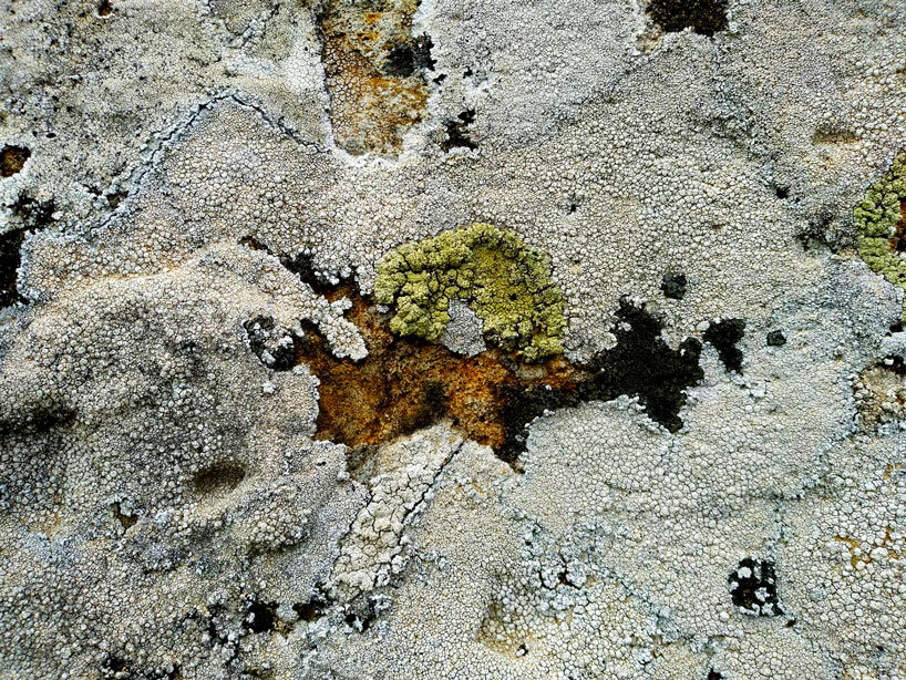 berlin festival 'driving the human' proposes 21 visions for eco-social renewal