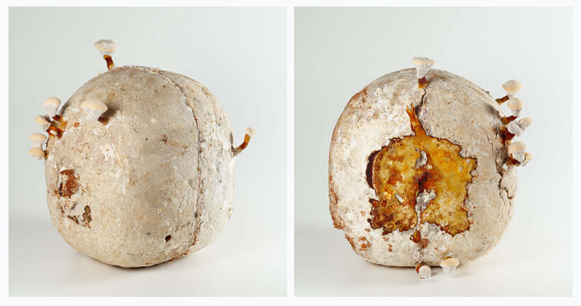 berlin festival 'driving the human' proposes 21 visions for eco-social renewal