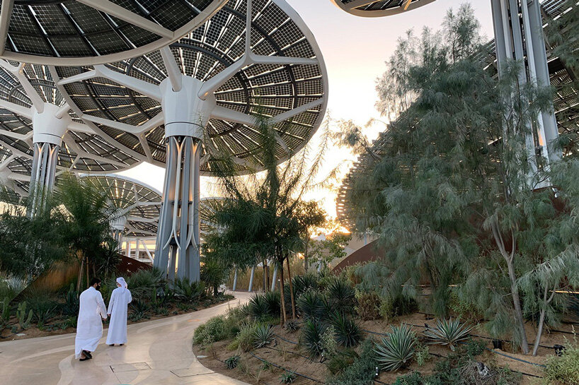 grimshaw unveils its sustainability pavilion at expo 2020 dubai