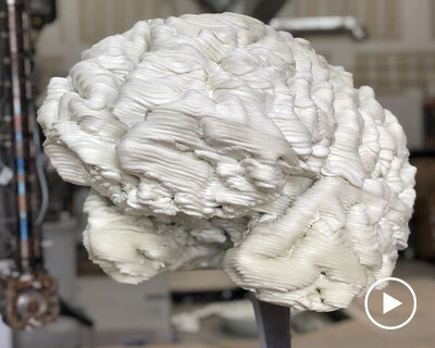 high school senior uses MRI data to 3D print a human brain