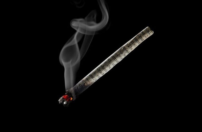 now you can literally smoke cannabis possession laws with 'the burn book' rolling papers