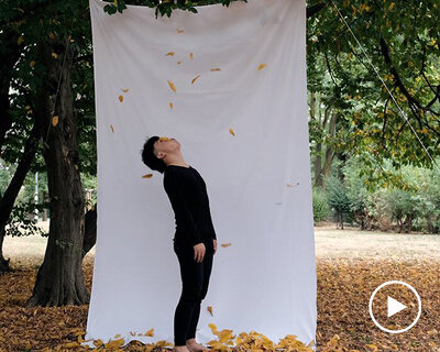 'stop a leaf from falling', an in vain try to prevent them from dropping to the ground