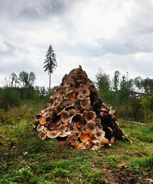 ulf mejergren architects creates edible 'mushroom hut' for autumn