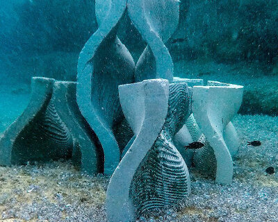 yfalos: modular artificial reef enhances degraded marine ecosystems