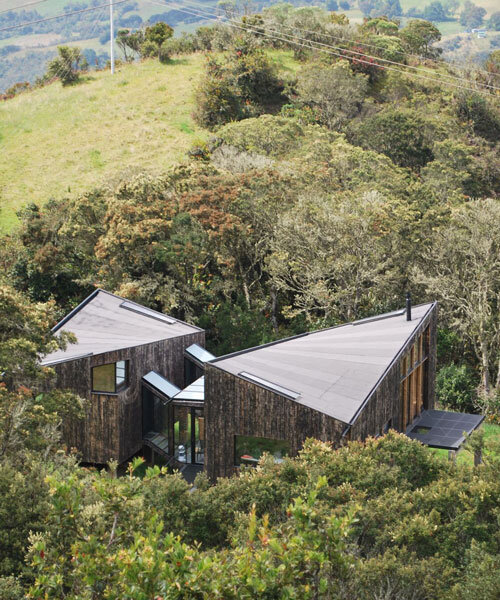 ZITA elevates a twisting house among a cloud forest in páramo, colombia