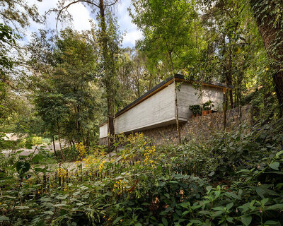 taller paralelo builds intimate wooden retreat at the heart of mexican forest