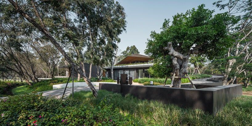 thailand-based architects 49 integrates its diagonal house into the forested landscape