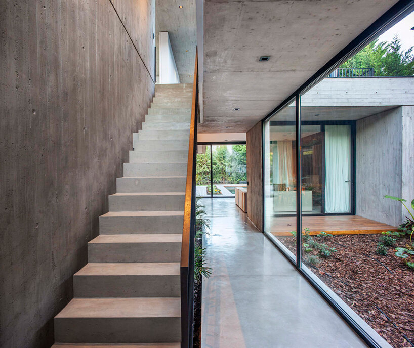 this buenos aires house is a concrete box that floats over a garden lagoon