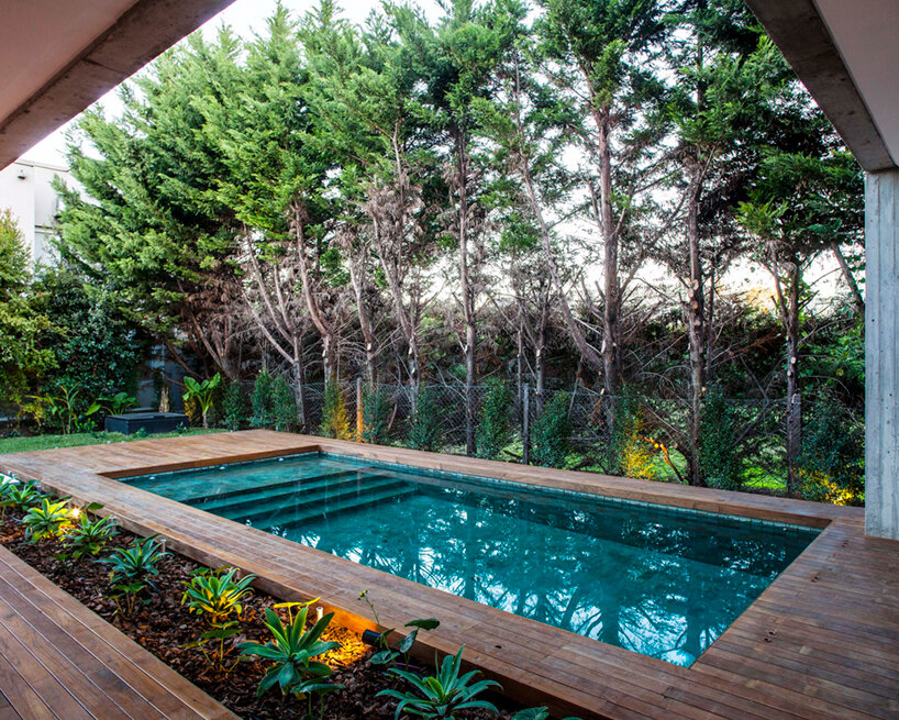 this house in buenos aires is a concrete box that floats above a garden lagoon