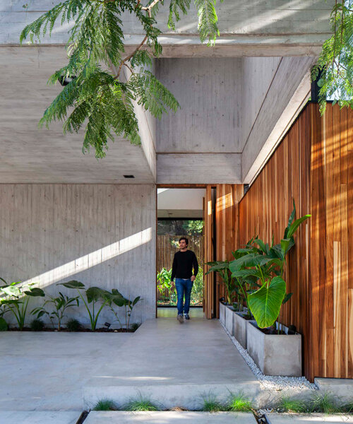 this house in buenos aires is a concrete box that floats above a garden lagoon