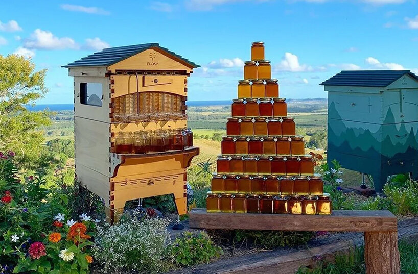 'flow hive' lets you extract raw honey straight from the beehive