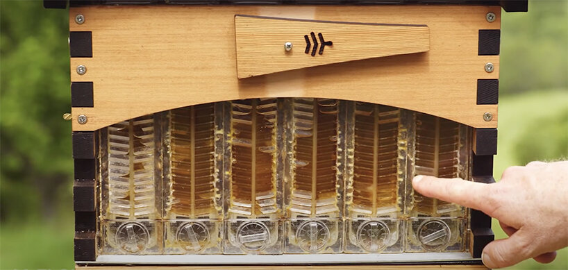 'flow hive' lets you extract raw honey straight from the beehive