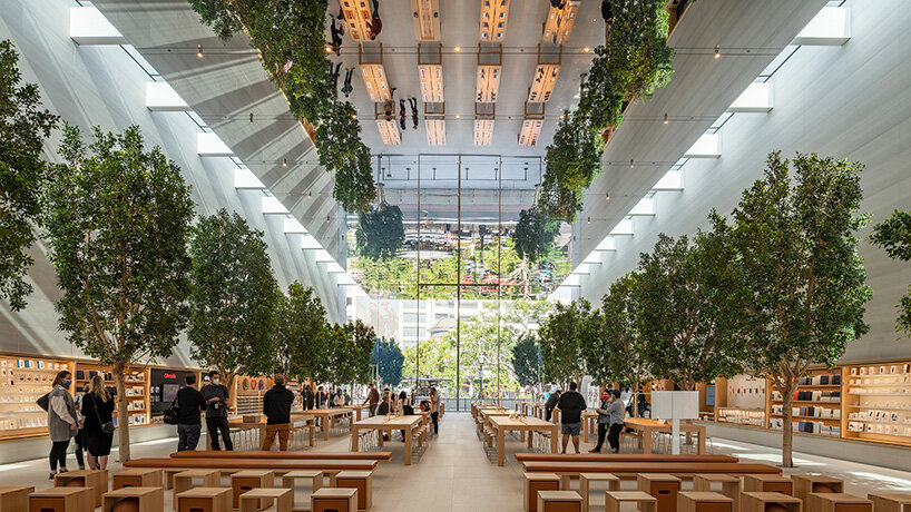 foster + partners unveils airy, light-filled apple at the grove store in los angeles