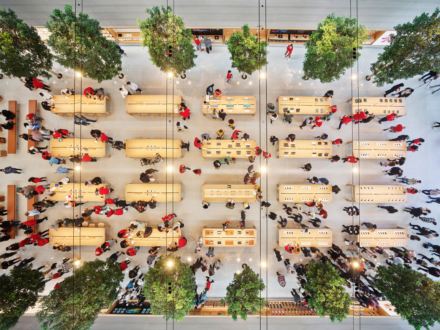 foster-partners-apple-store-los-angeles-the-grove-designboom-005
