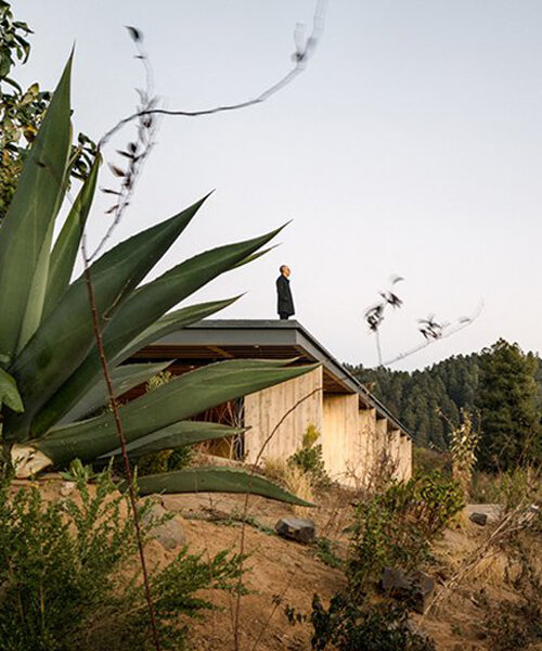 manuel cervantes estudio builds mexican residence as a semi-buried viewing platform
