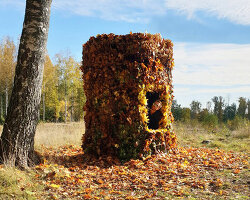 this leaf hut by UMA reflects on the fleeting beauty of life