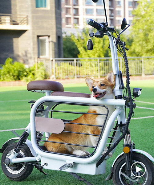 meet mopet: a compact e-scooter to take your dog for a ride