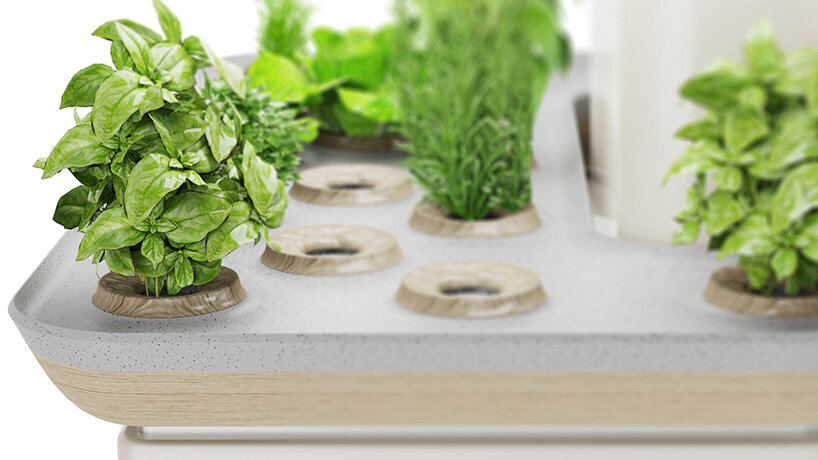 grow your veggies at home with pininfarina's la grangette home garden