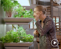 grow your veggies at home with pininfarina's la grangette home garden