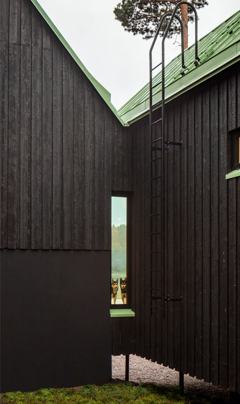 pirinen & salo sets three-volume charred wood house between pine trees in finland