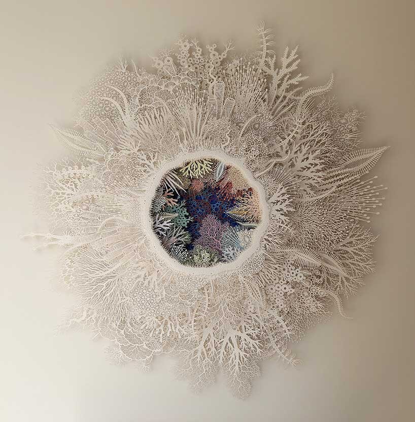 rogan brown intricately cuts-out paper coral garden capturing nature's fragility