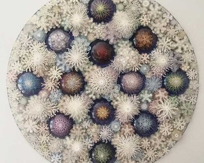 rogan brown intricately cuts-out paper coral garden capturing nature's fragility