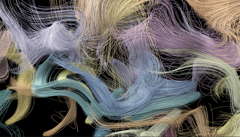 'synaesthetic sanctuary' is an audio-visual exploration of bird songs