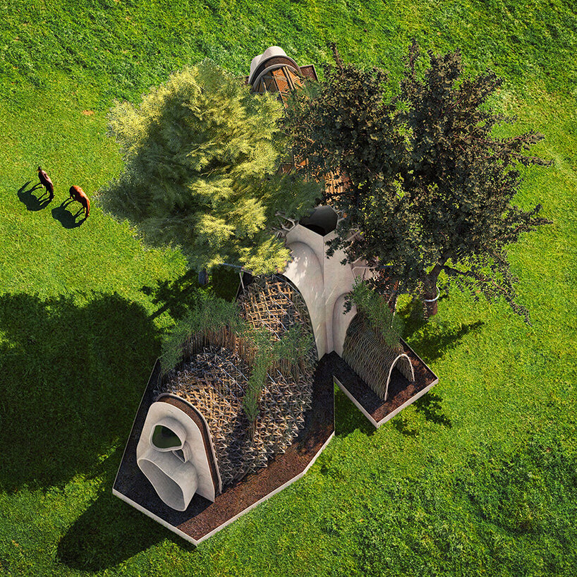 terreform one's home alive proposes a method to grow homes from native trees