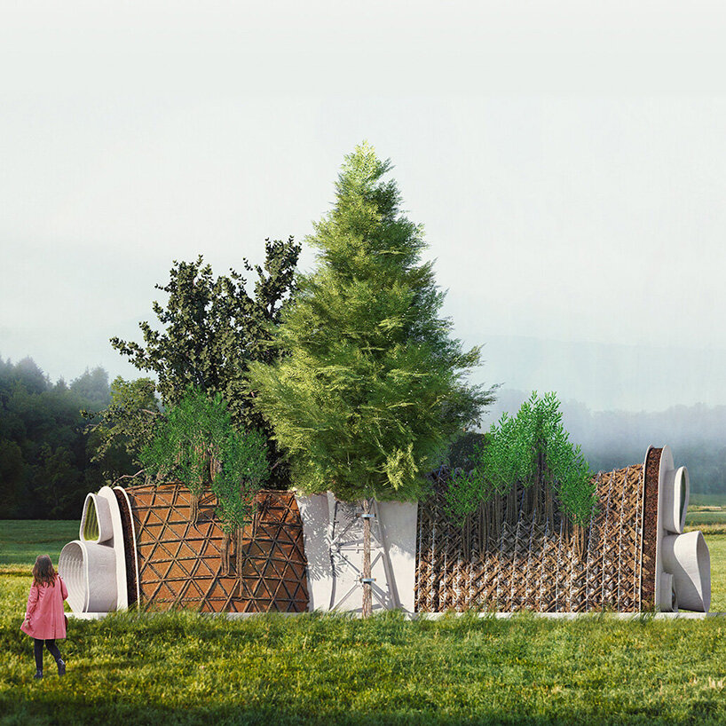 terreform one's home alive proposes a method to grow homes from native trees