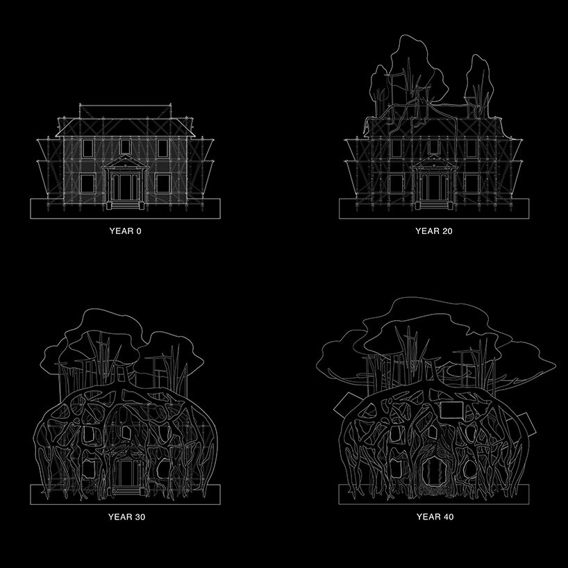 terreform one's home alive proposes a method to grow homes from native trees