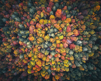 VELUX hosts 'build for life conference 2021' bringing industry professionals together