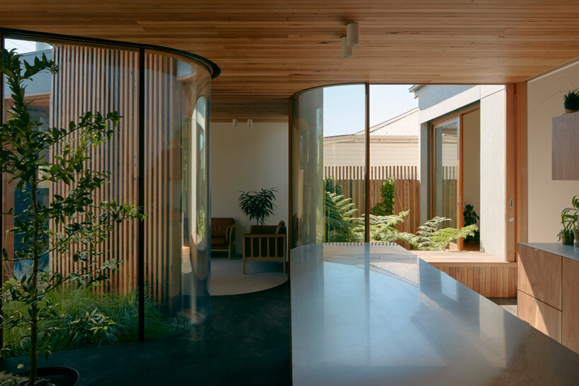 vivarium house in australia is designed to be 'consumed by its gardens'
