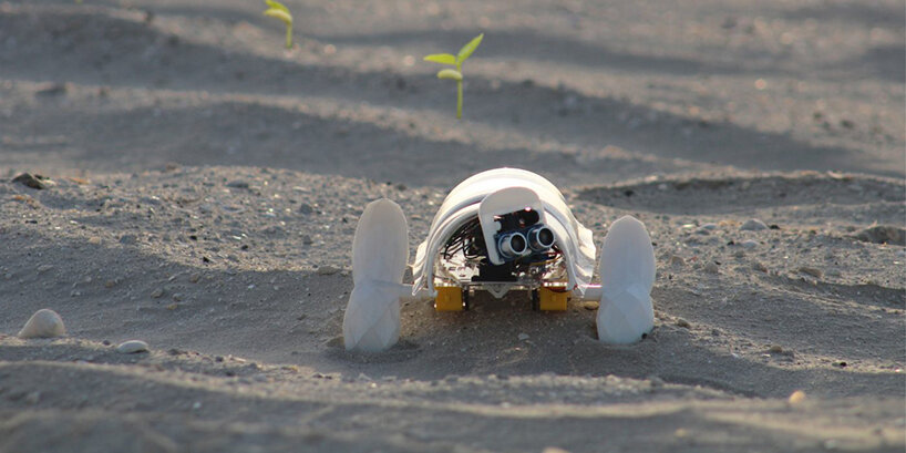 this tiny autonomous robot transforms the desert into a verdant landscape