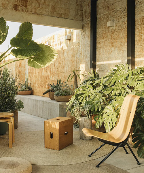 marc pascal brings a desert-like vibe to rooftop terrace in mexico